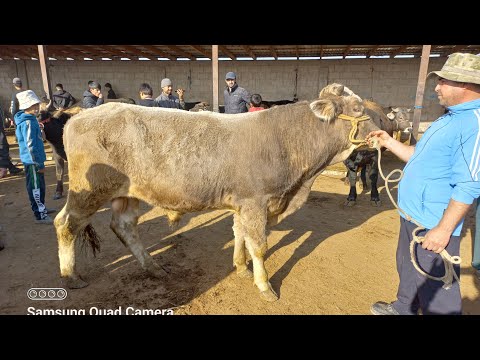 Видео: МОЛБОЗОРИ ХОЧИ ШАРИФ 31 октября 2025 г.
