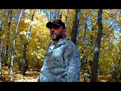 Видео: Приманка на куницу и соболя Yukon Sable | Против рыжих пройдох