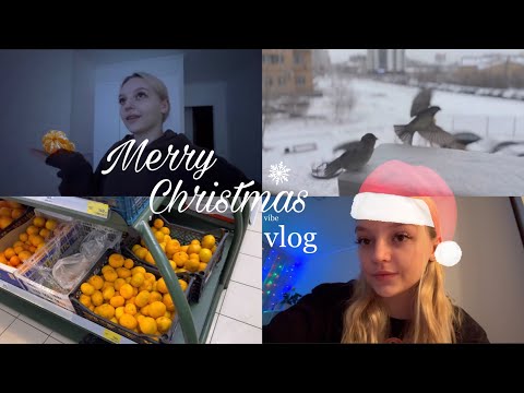 Видео: посмотри это видео, если у тебя нет новогоднего настроения // xmas vibe vlog¿