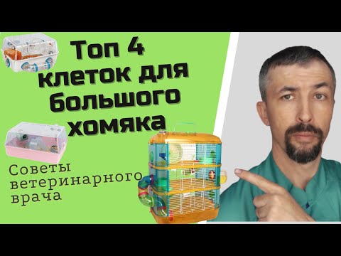 Видео: Выбор клетки для хомяка