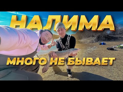 Видео: РЫБАЛКА НА НАЛИМА В НОЧЬ, РЕКА НУРА  САБЫНДЫ 24.10.2025