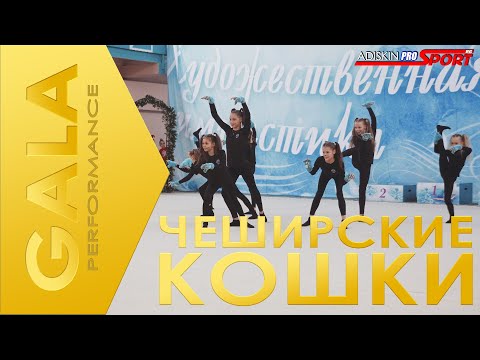 Видео: GALA ЧЕШИРСКИЕ КОШКИ (4К)