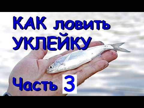 Видео: Как ловить уклейку на фидер. Поводки и крючки на уклейку. Часть 3