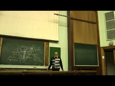 Видео: 02.11.13 Сергеев И.Ю. часть 2