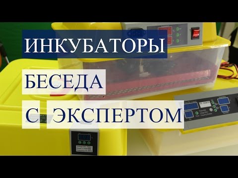 Видео: Инкубаторы. Обзор инкубаторов. Беседа с экспертом.