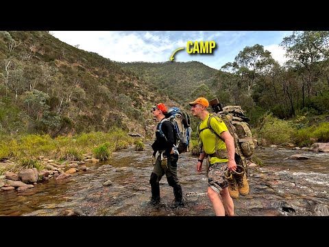 Видео: Охота на оленя-самбара с рюкзаком в горах Виктории