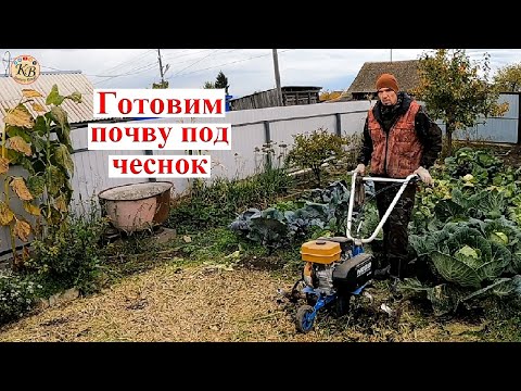 Видео: Культивируем и готовим землю под чеснок!