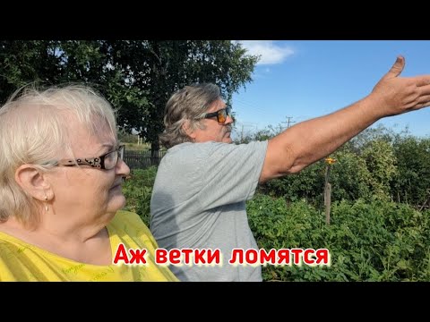 Видео: Предупреждён - значит вооружён! Мошенники становятся всё изощрённее...