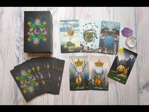 Видео: ОБЗОР невероятно красивой и редкой колоды "MERAKI TAROT" 🌿 "МЕРАКИ ТАРО" от Bouchette Design НОВИНКА