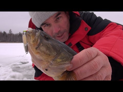 Видео: Черные МОНСТРЫ ТАЕЖНОГО ОЗЕРА!