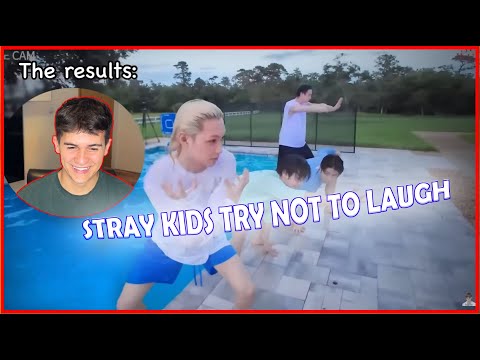 Видео: FNF реагирует на Stray Kids: «Вы смеётесь? Вы проигрываете!» (издание 2025 года)