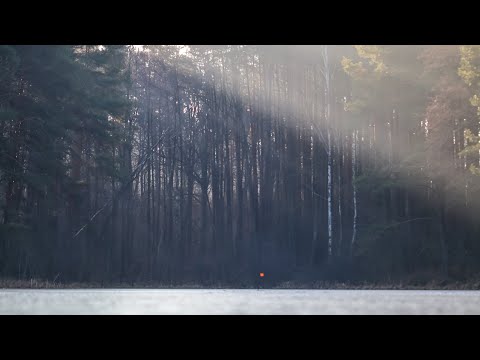 Видео: Прийшлось Роздягатись,бо Жарко було бігати біля Жерлиць на річці Жерев