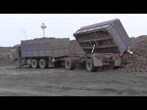 Видео: Выгрузка свеклы.Камазы работают на поле.Урожай сахарной свеклы.