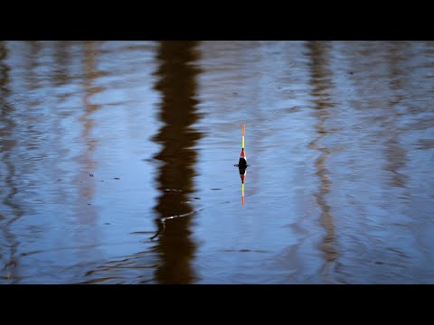 Видео: Добирались Мотоциклами через ліс і Закинули поплавки в Царське болото на Ротана