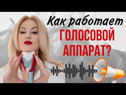 Видео: Как работает голосовой аппарат?