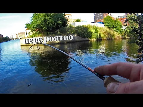 Видео: Жерех клюнул на МОРМЫШКУ! Рыбалка в Гданьске. Река Motlawa.