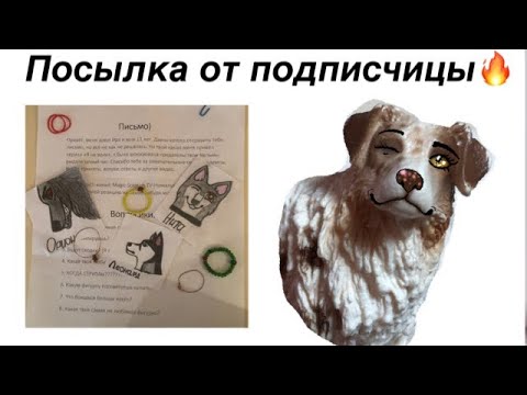 Видео: Посылка от подписчицы! Шляйх