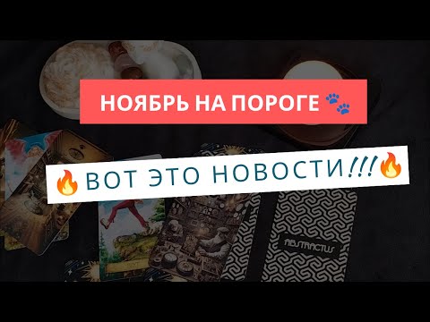 Видео: Ноябрь на пороге! Вот это новости!!!