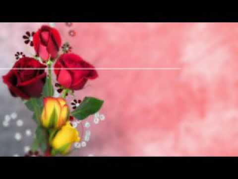 Видео: Кыыс Амма