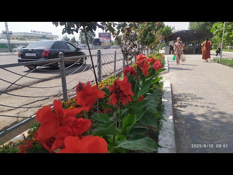 Видео: Мой город (г.Алмалык)