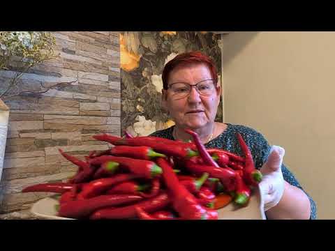 Видео: ДВА НОВЫХ РЕЦЕПТА,ПРОБУЮ! / 1757