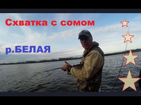 Видео: Схватка с сомом.