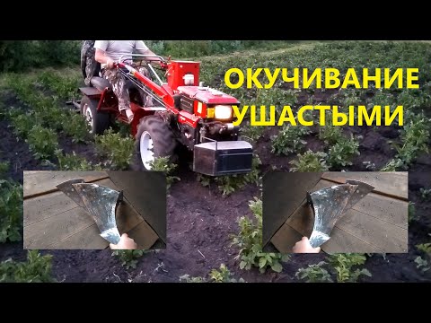 Видео: правильные окучники,второе окучивание ушастыми!