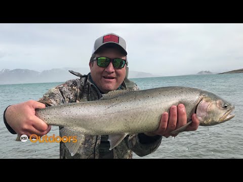 Видео: Как Юта спасла лахонтанскую форель-головореза от вымирания