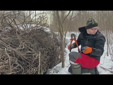 Видео: Продолжаю кусать много металла! Осталось немного времени - речка тает.