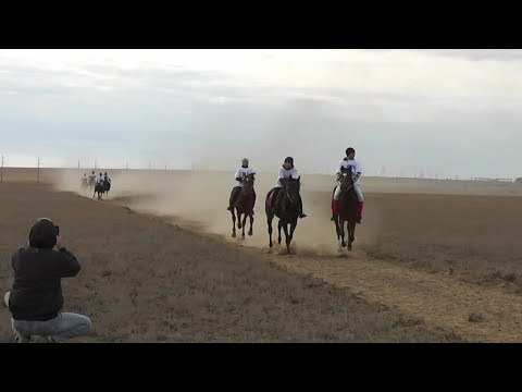 Видео: Ат жарыс Сага Жаксылык ата 80 жас