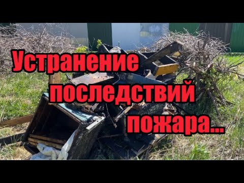 Видео: Пасека из пепла… наведение порядка и покупка пчёл…