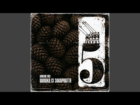 Видео: Шишка із Закарпаття