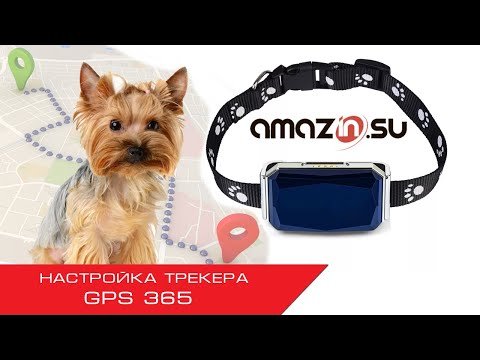 Видео: Инструкция по настройке трекера GPS365