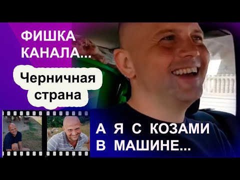Видео: Черничная страна или "фишка" канала "Черничный хутор". Веселые  и позитивные видеосюжеты