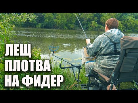 Видео: Как я наловил плотвы и леща на фидер! Моя тактика ловли на реке Дон