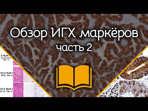 Видео: Общий обзор иммуногистохимических маркёров: Часть 2