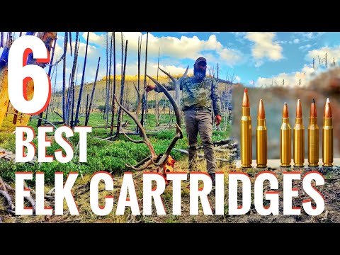 Видео: 6 лучших патронов для охоты на лося (советы профессионального гида)