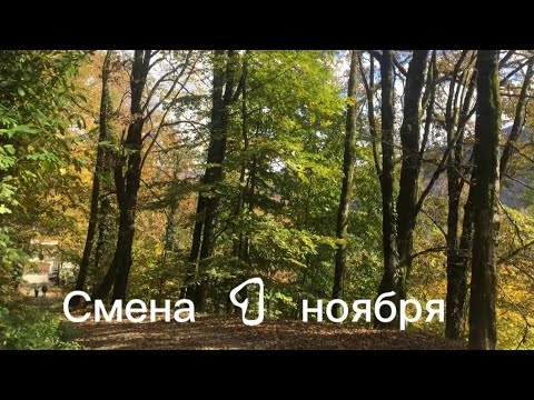 Видео: Кидалово продолжается / Новая программа лояльности / Рабы пробега
