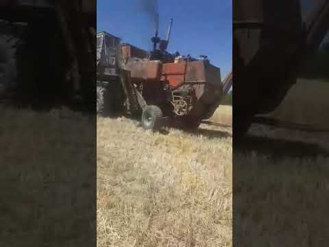 Видео: Уборка комбайн нива ск5 пун