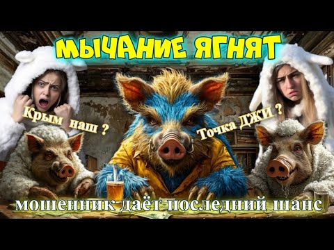 Видео: ♨️😱Мошенники из под овечьей шкуры показывают 🐷 клыки