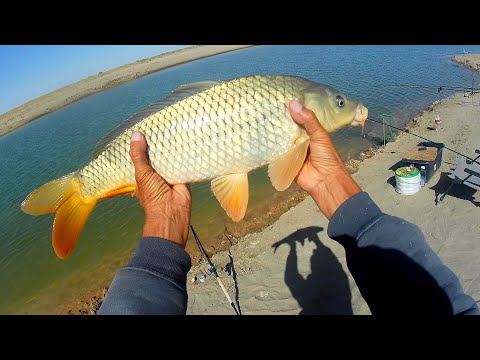 Видео: Вот это УЛОВ! Не выдержала удочка.