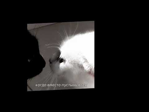 Видео: я разлюблю тебя - мот speed up