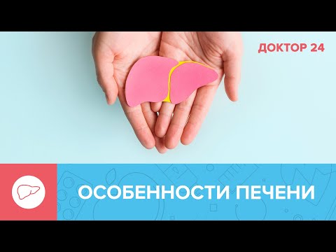 Видео: Всё об ОСОБЕННОСТЯХ ПЕЧЕНИ. ТЕМЫ НЕДЕЛИ | Доктор 24