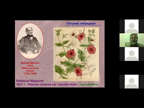 Видео: О цвете и запахе в мире растений - Чуб В.В.