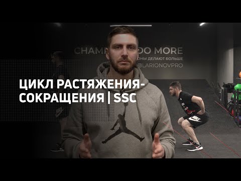 Видео: Цикл растяжения-сокращения | SSC
