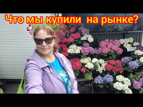 Видео: 47.Красивые цветы  на рынке,на Сенной 🤩Beautyful flowers on Sennaya market 🌹