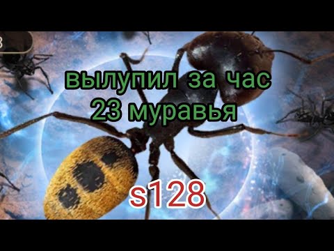 Видео: the ants underground kingdom вылупление золотых яиц 350штук