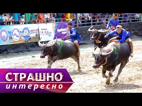 Видео: Таиланд. Страшно интересно @moyaplaneta