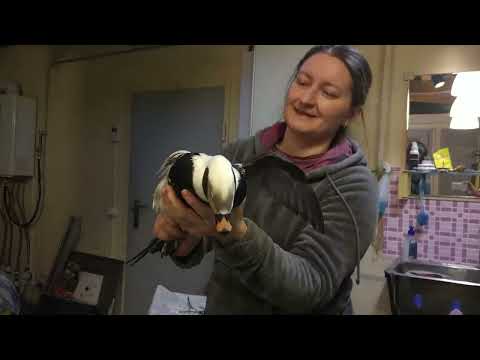 Видео: Сборное видео за 2022 (из невошедшего в основные сюжеты)