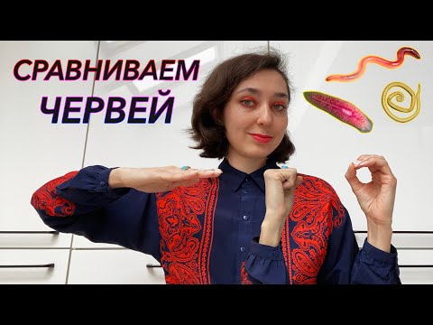 Видео: Урок "Сравнение червей" - ЦТ, ЕГЭ, ЗНО.